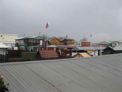 IMG_1133.jpg
