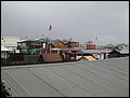 IMG_1133.jpg