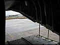IMG_1286.jpg