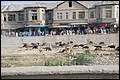Kabul Volk.jpg