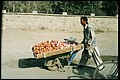 kabulvolk12.jpg